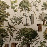 Lithograph on trees (lime tree) - 1930