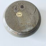 Vase stings flowers lens shape