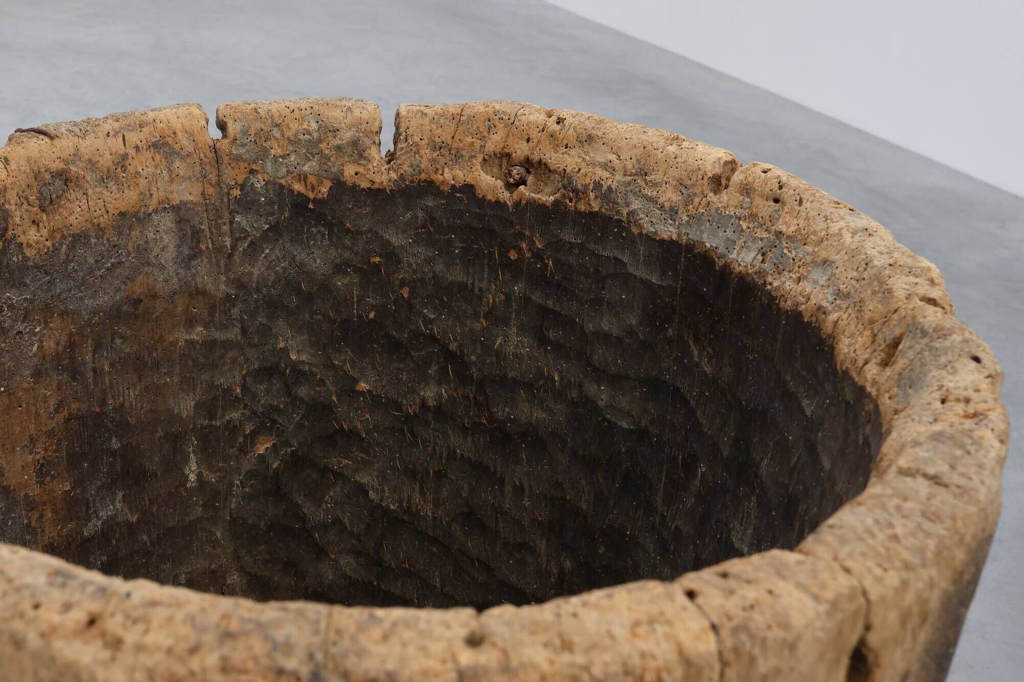 19th Century French Primitive Hollowed Oak Tree Trunk Planter