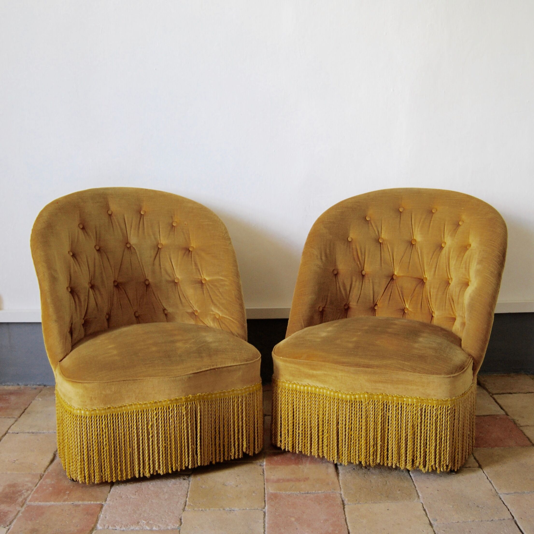 Armchair yellow toad