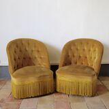 Armchair yellow toad