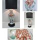 vintage peony decor lamp base