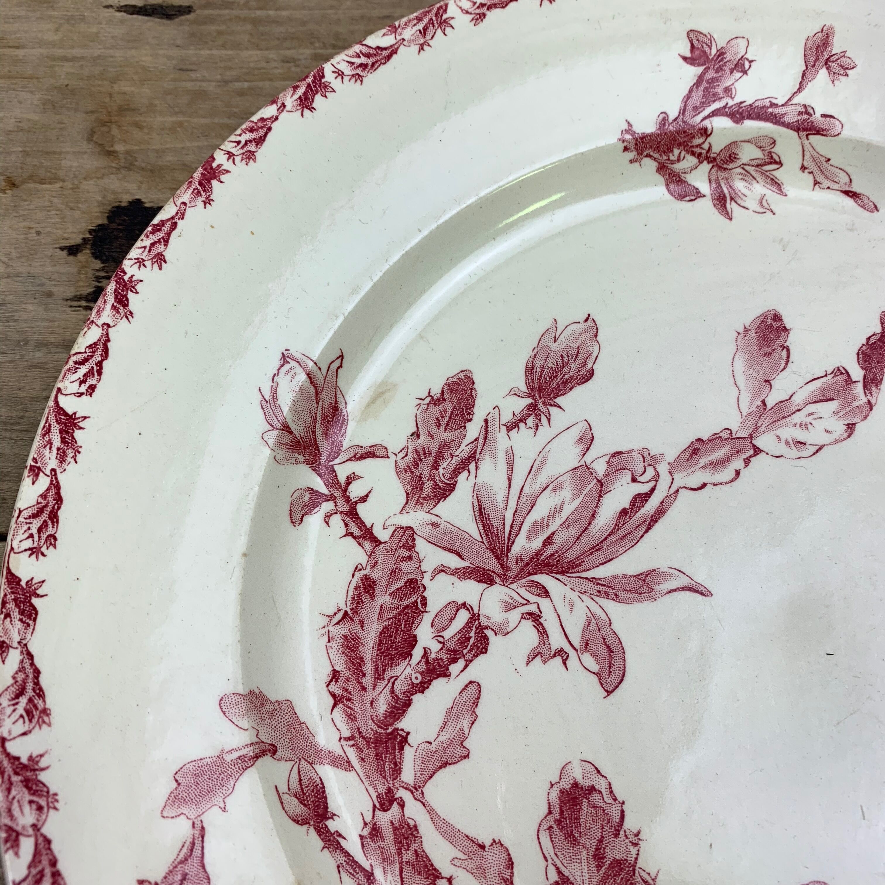 Dish porcelain Gien model Cactus