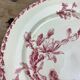 Dish porcelain Gien model Cactus