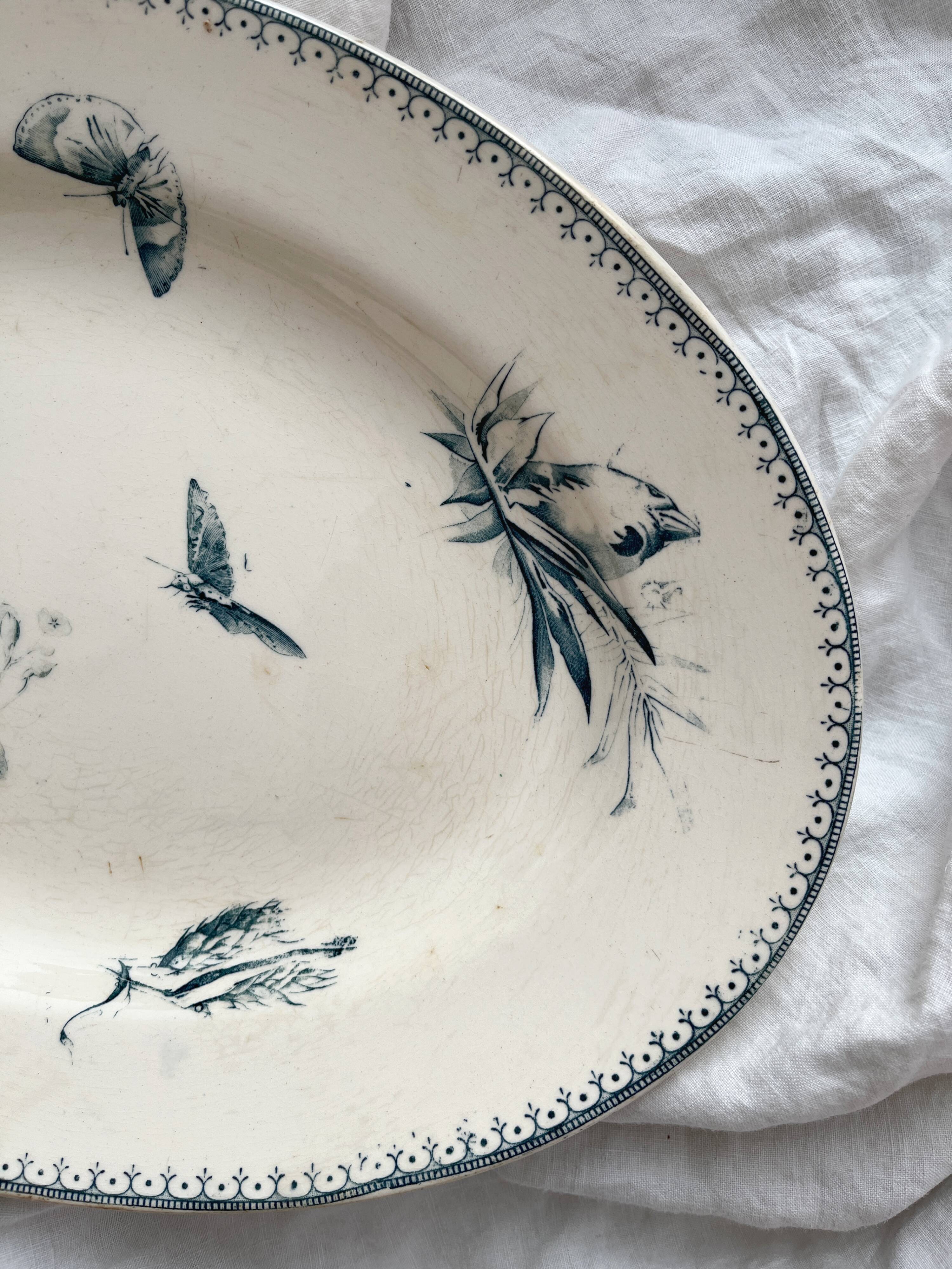 Plat ovale terre de fer fleurs oiseaux "Malaga" Petrus Regout