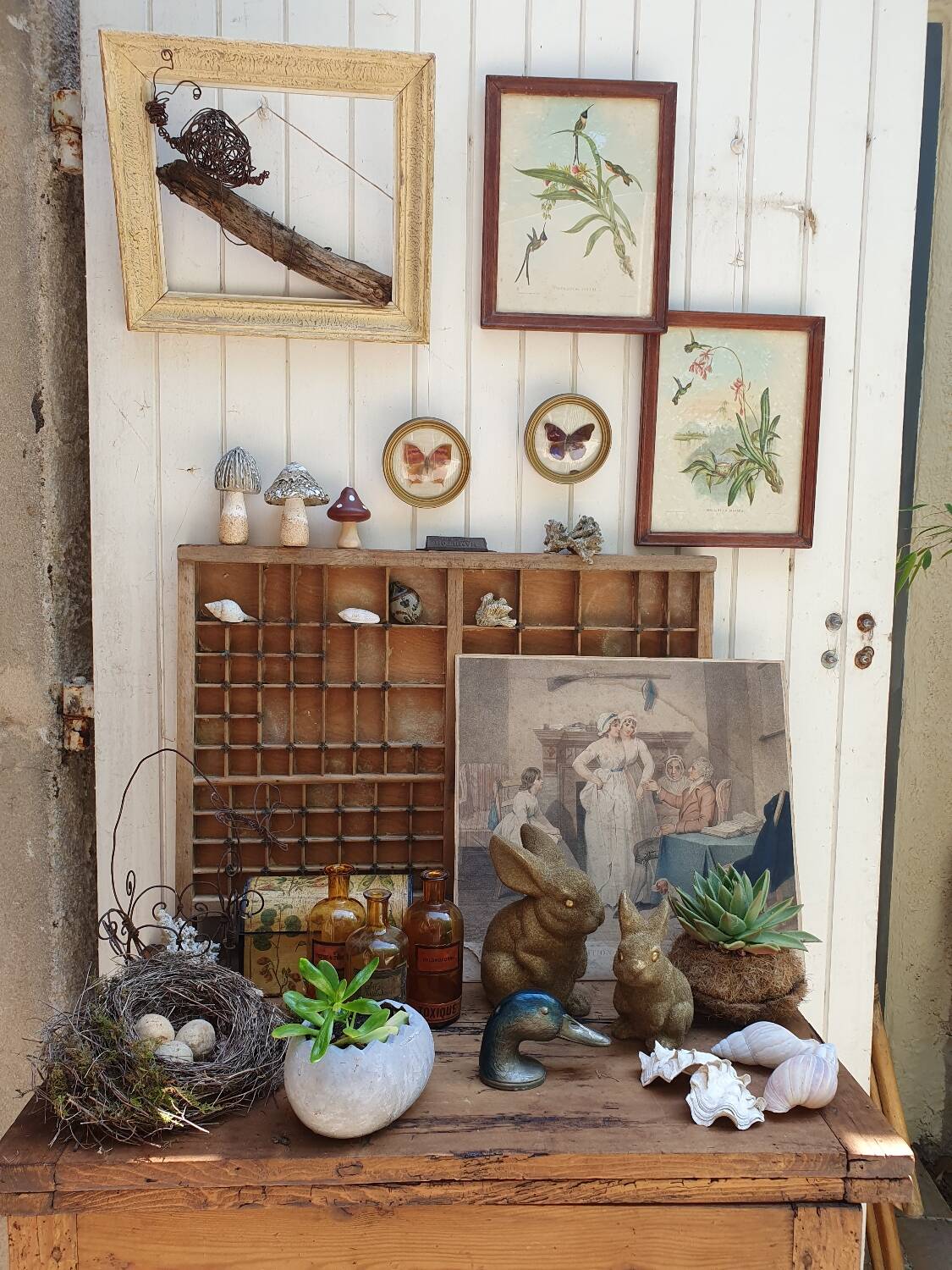 Hummingbirds Lithograph Duo