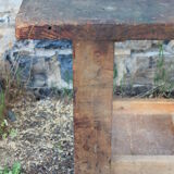 Established with vice