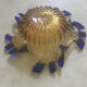 Blown glass fruit bowl