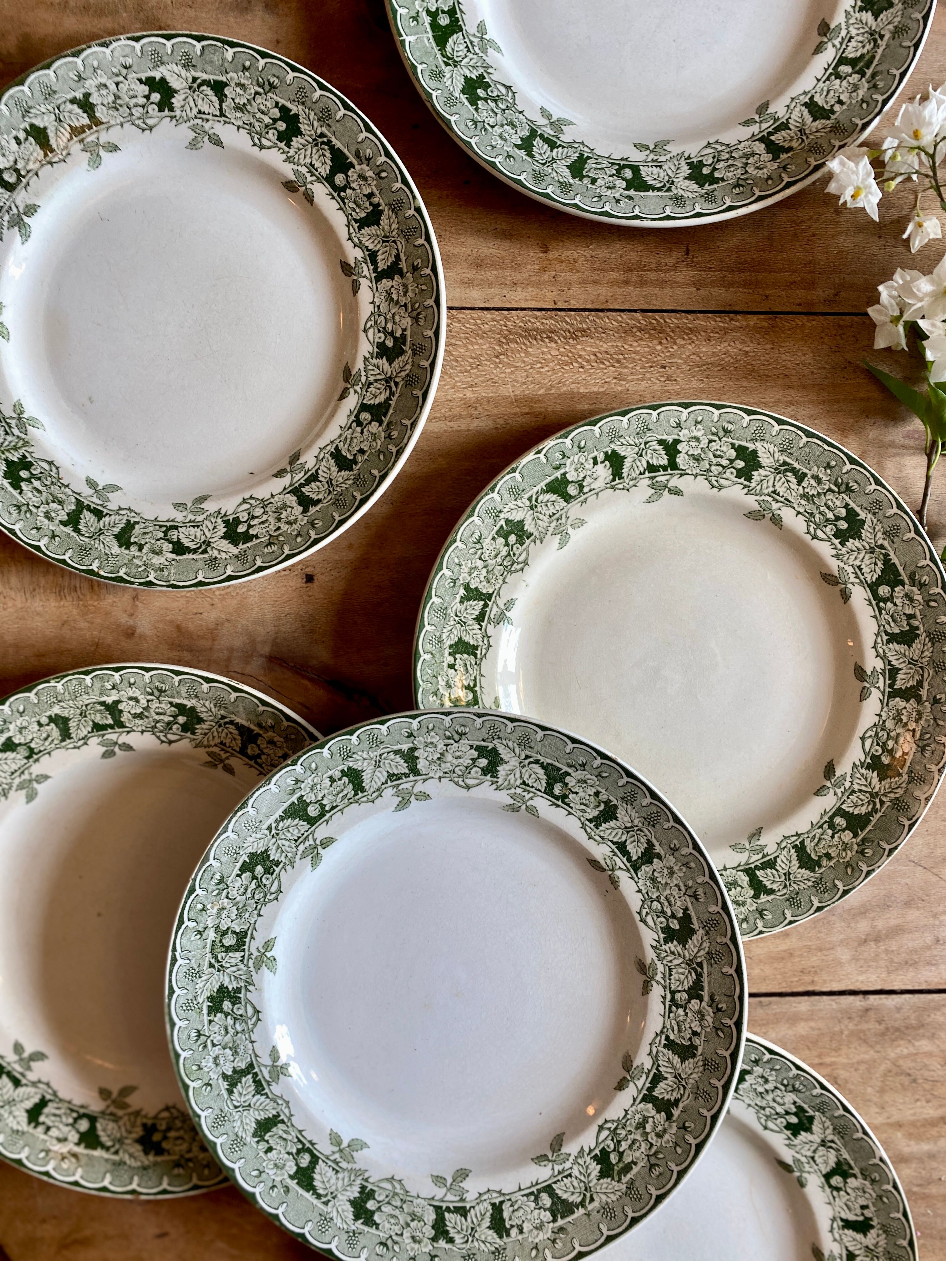 Set of 6 old plates in iron earth, model Murier de Saint Amand