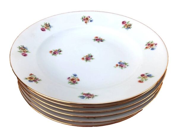 6 assiettes creuses anciennes  Porcelaine P.N France