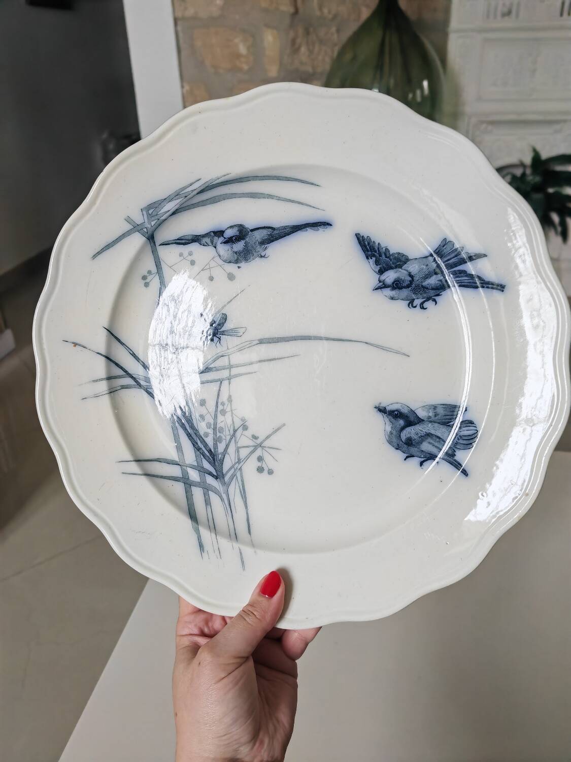 19th century dish bwm&co