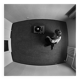 Photo aérienne d'un homme avec un tourne-disque, 1976
