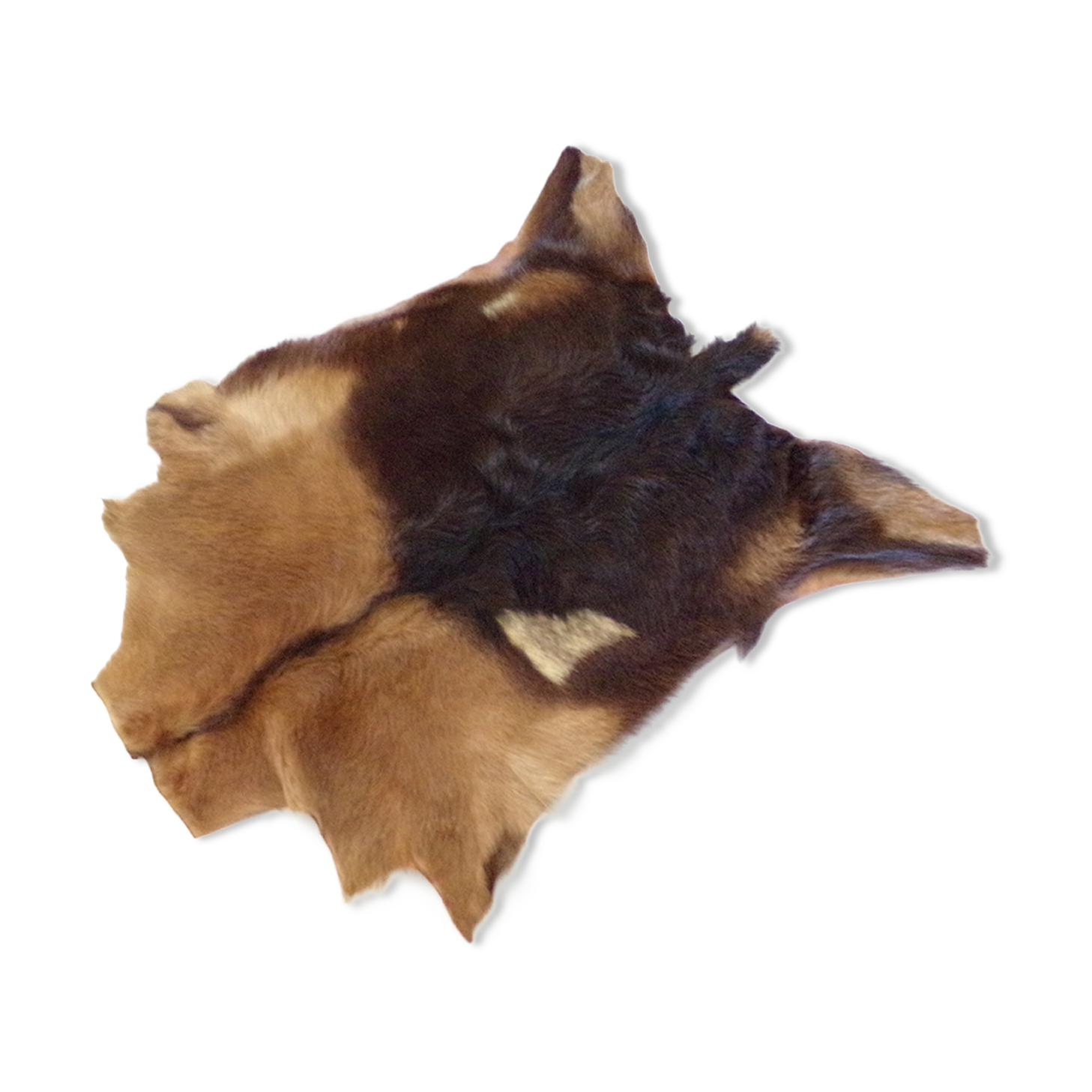Real goat skin