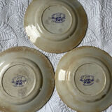 U&G Sarguemines Épine plates