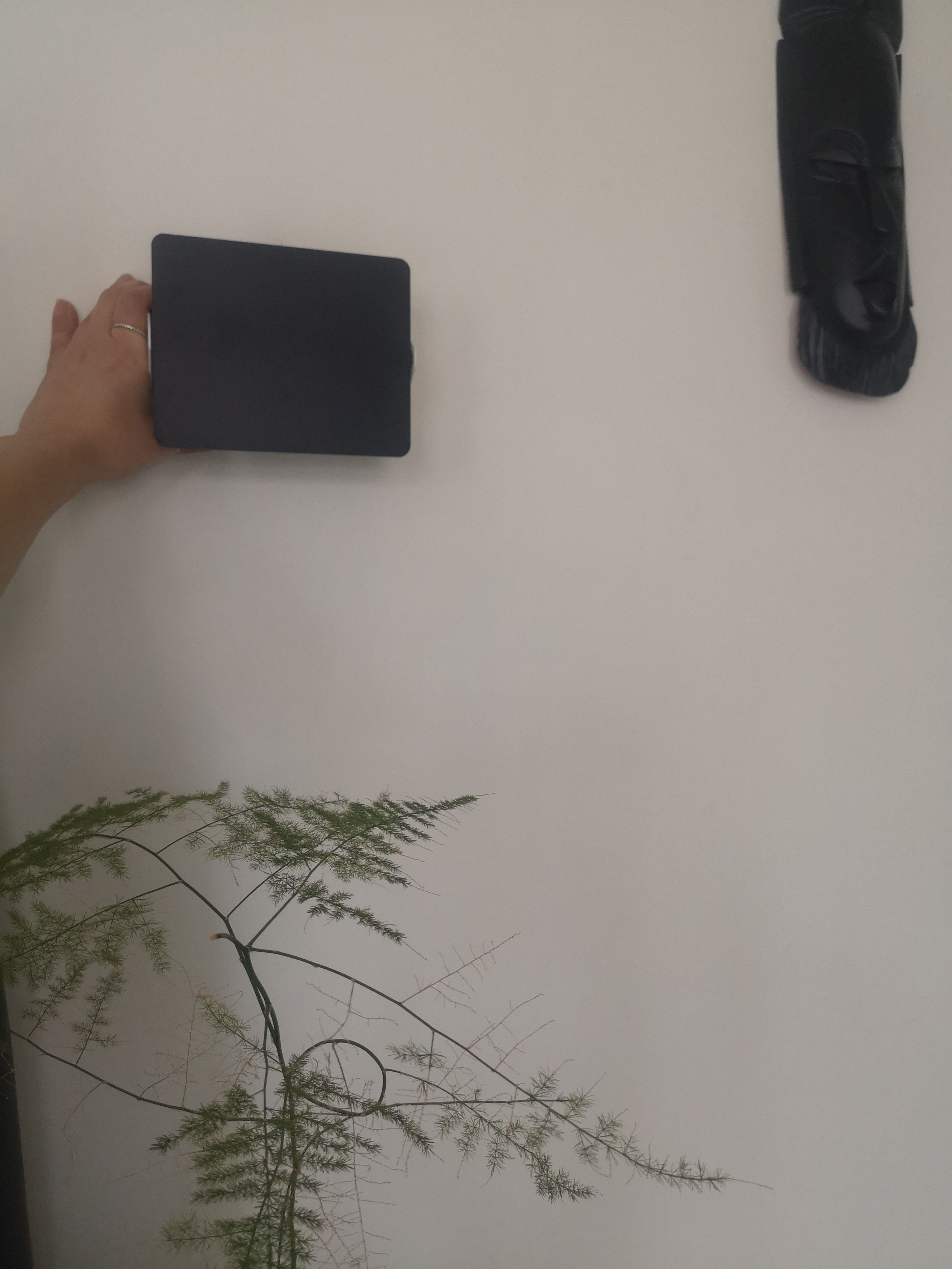 Charlotte Perriand sconce