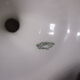 Coupe en porcelaine, Limoges