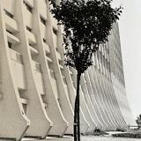 Photograph black and white silver print circa 1970 architecture