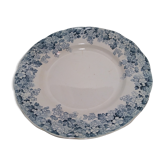 Old blue plate