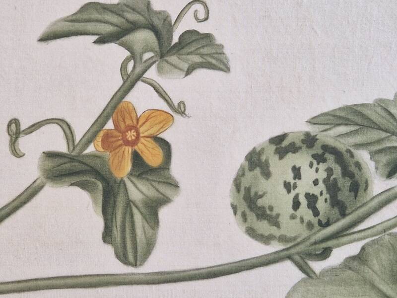 La Roche Laffitte (Born in 1943) - Watercolour drawing on silk - Cucumis