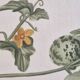La Roche Laffitte (Born in 1943) - Watercolour drawing on silk - Cucumis