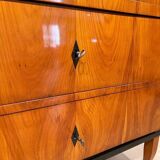 Biedermeier Secretary in Cherry Veneer, 1820s