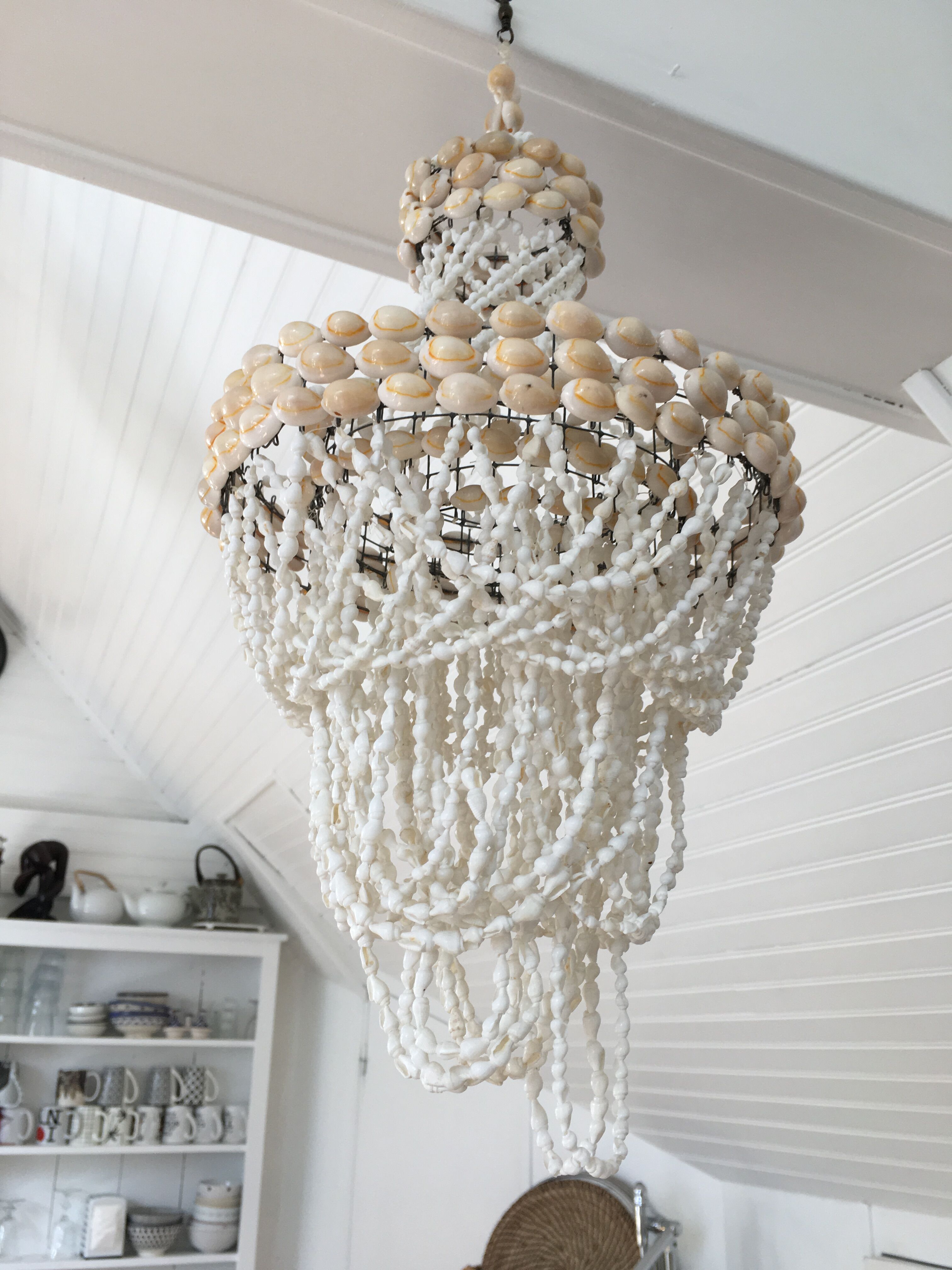 Shell chandelier