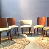 Set of 4 chairs and 1 armchair design 50s
