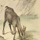 Ornithological Plate Buffon 1838 "Chamois, Musk & Gazelle"