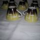 Porcelain coffee service from the 1950s
