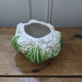 Pot cauliflower in slip