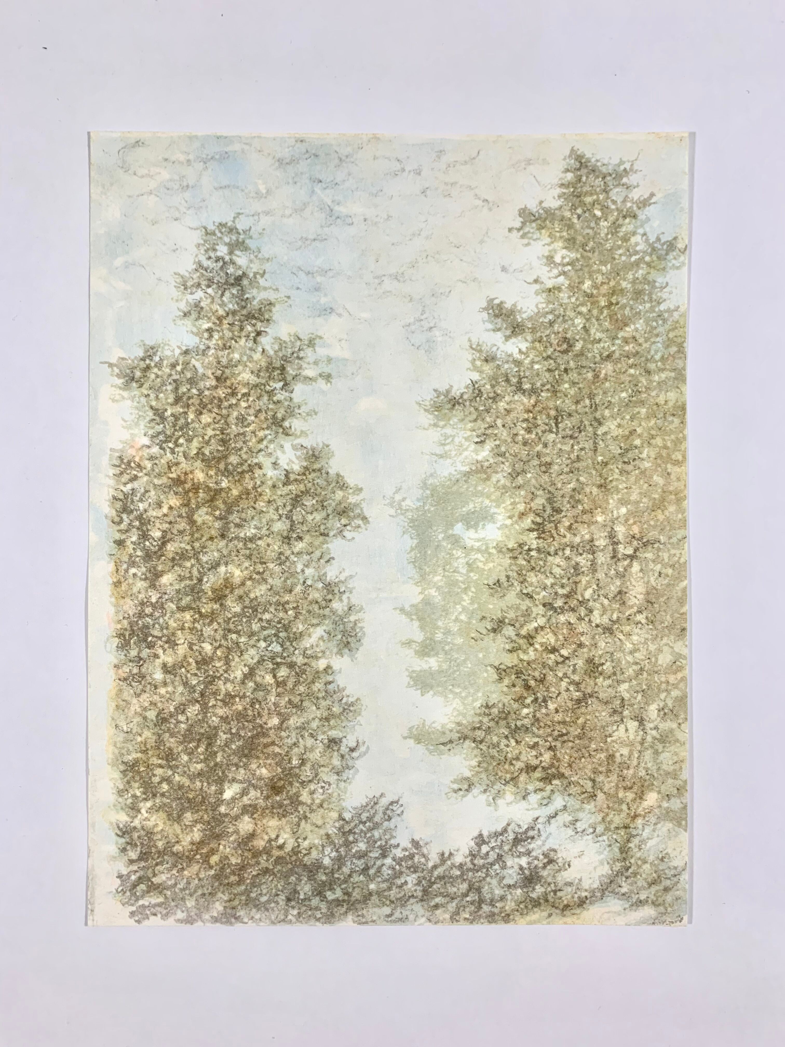 Lithograph poster - forest - impressionist style