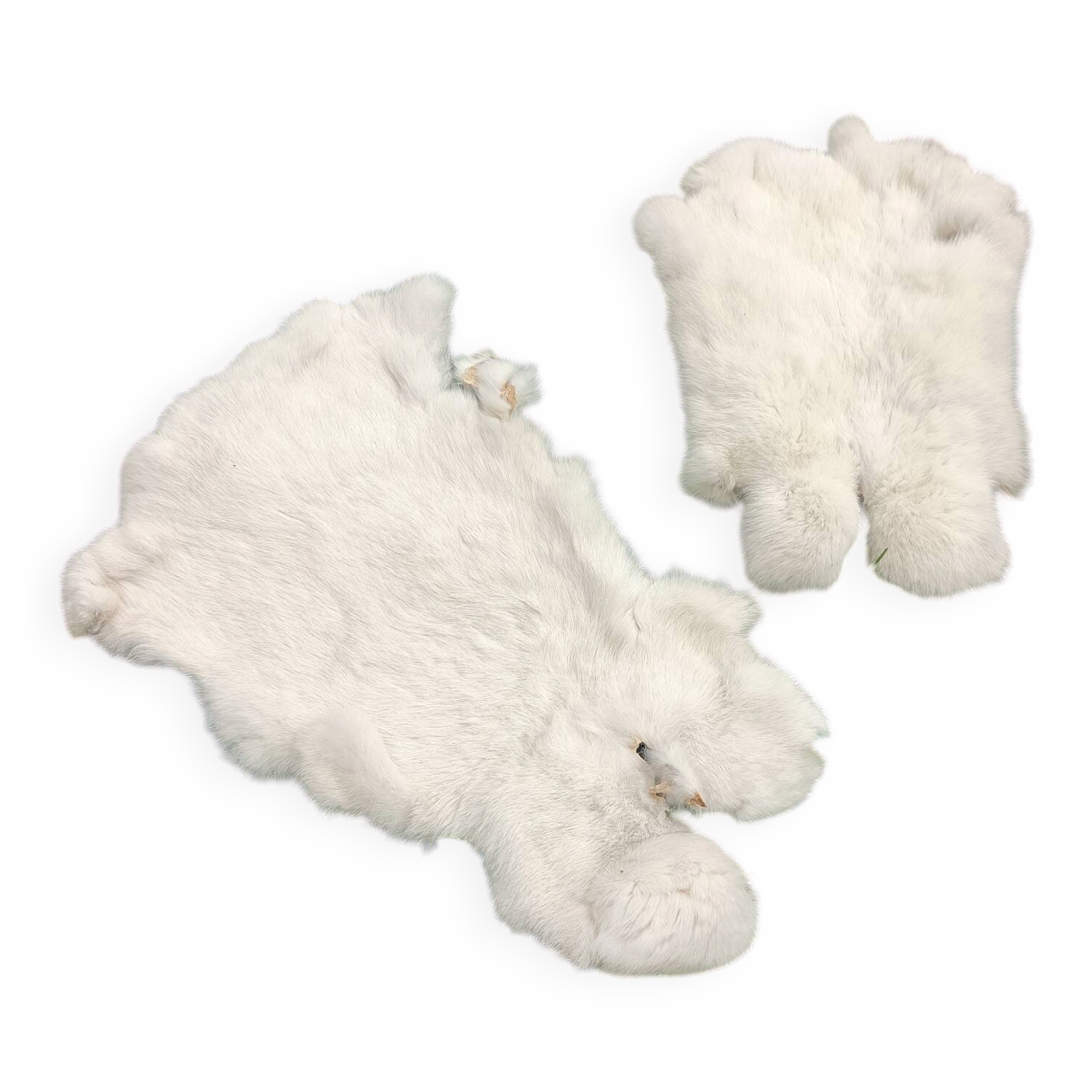 Peau de Lapin véritable