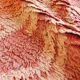Vintage Pink Berber Rug - 330 x 162 cm