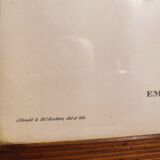 Gould lithograph enhanced hand birds