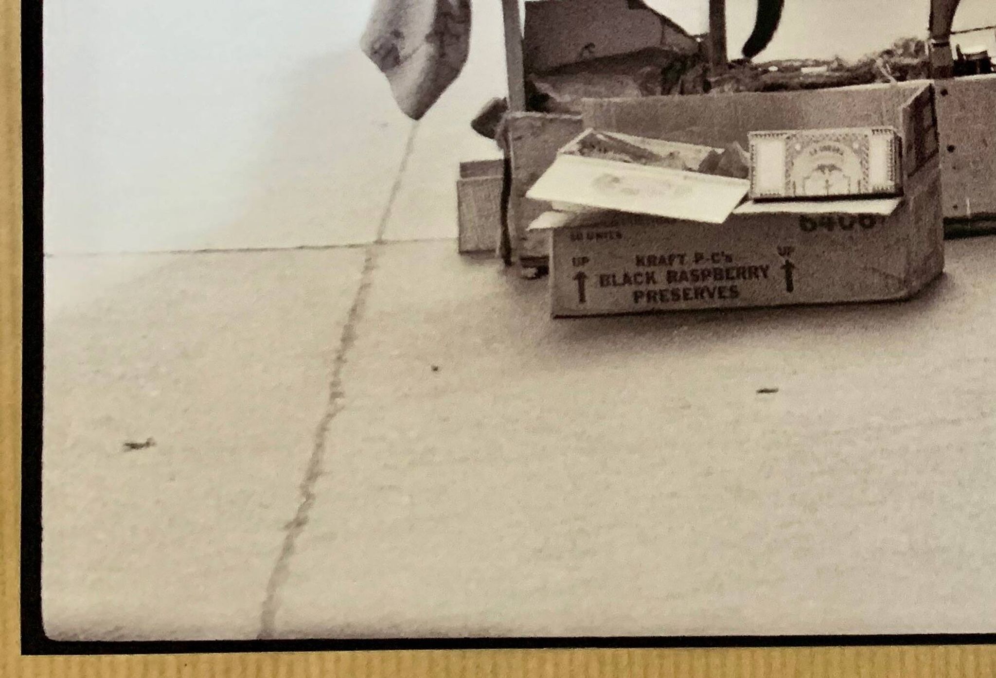 Photo of New York, Cat with rolling eyes in front of a shoe shine, 1960