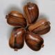 5 coupelles bois teck forme poire