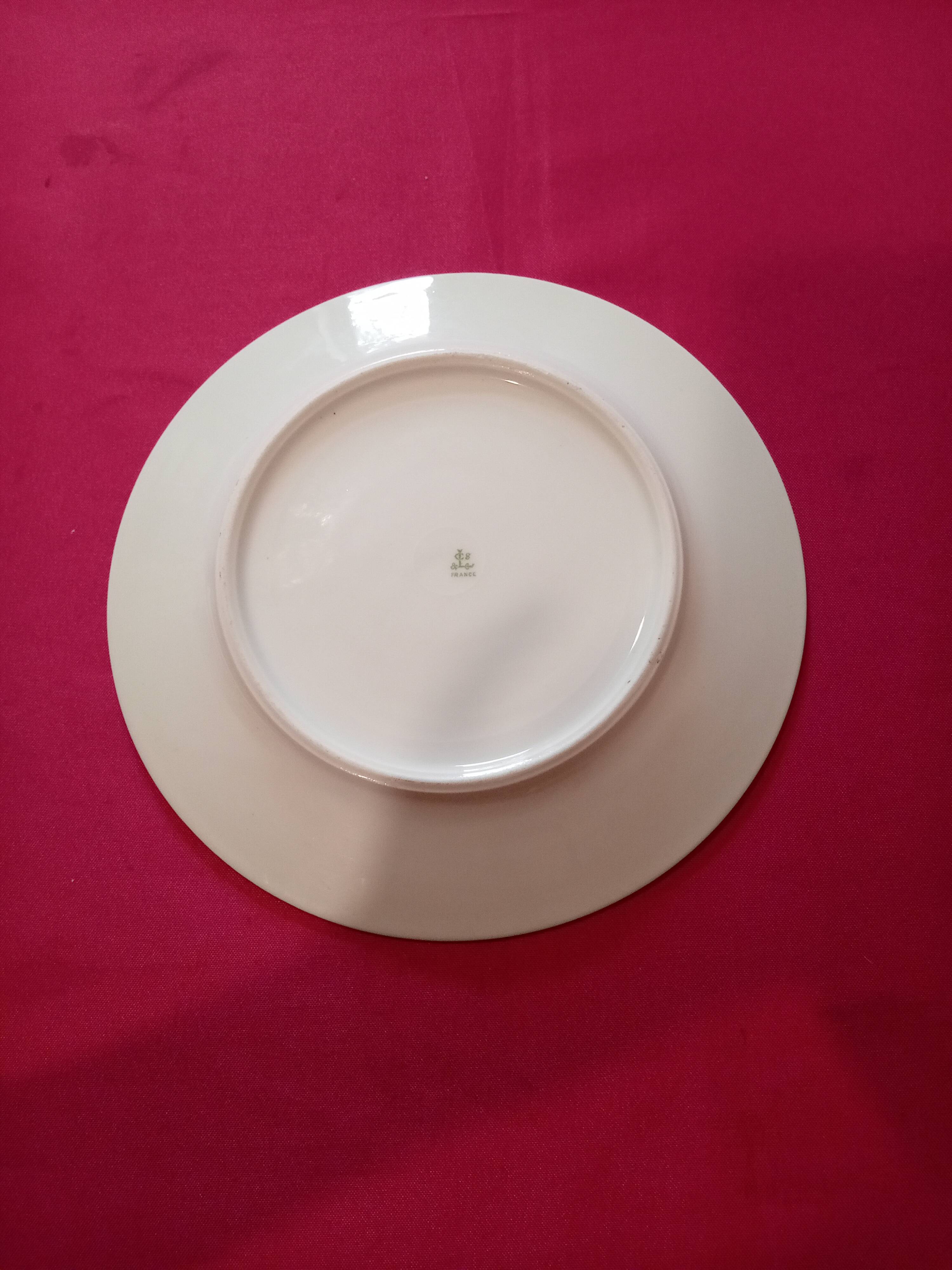 flat plate Chartres sur Cher Gaston Sailly