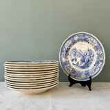 Set of 14 Burgenland Villeroy & Boch soup plates