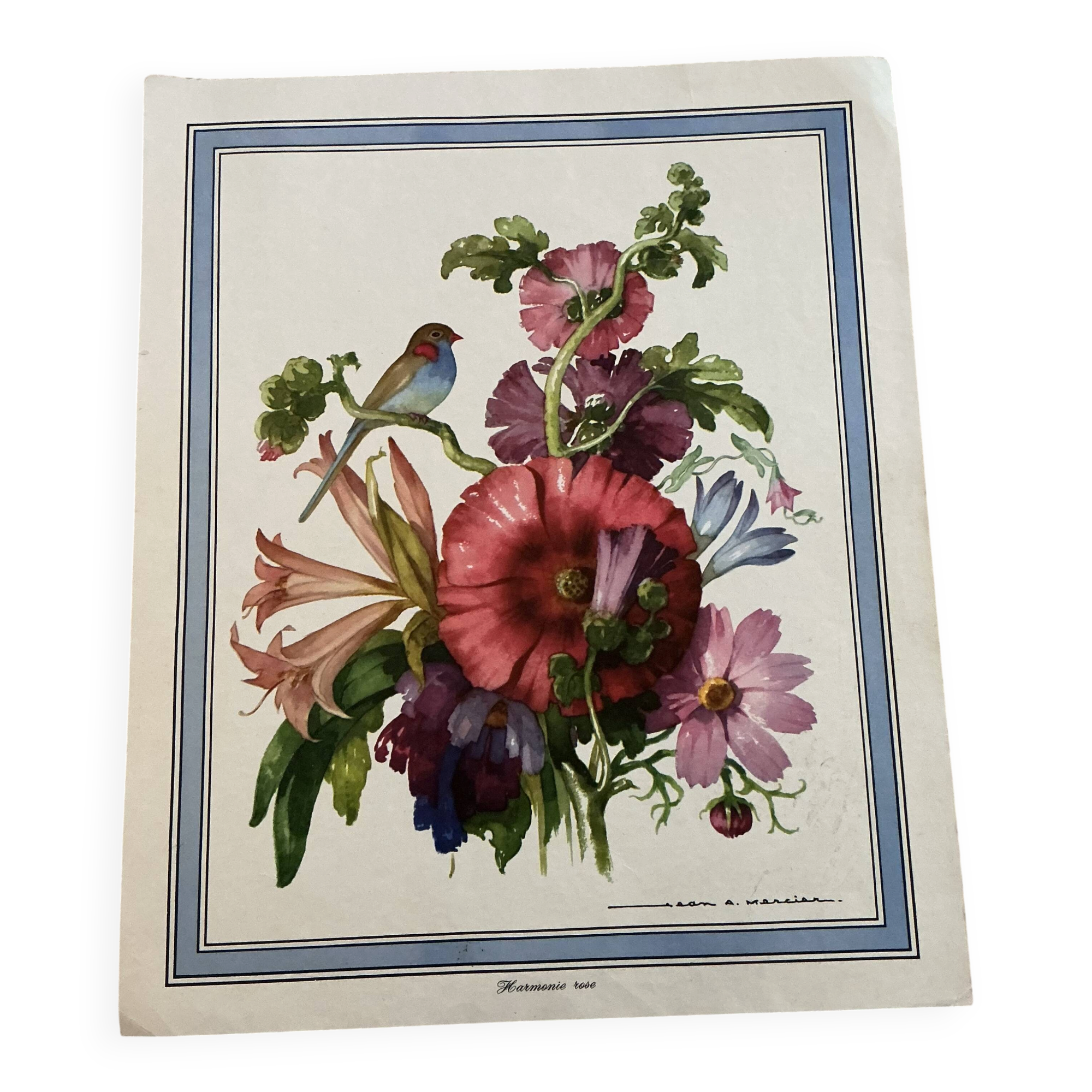 Illustration florale ancienne.