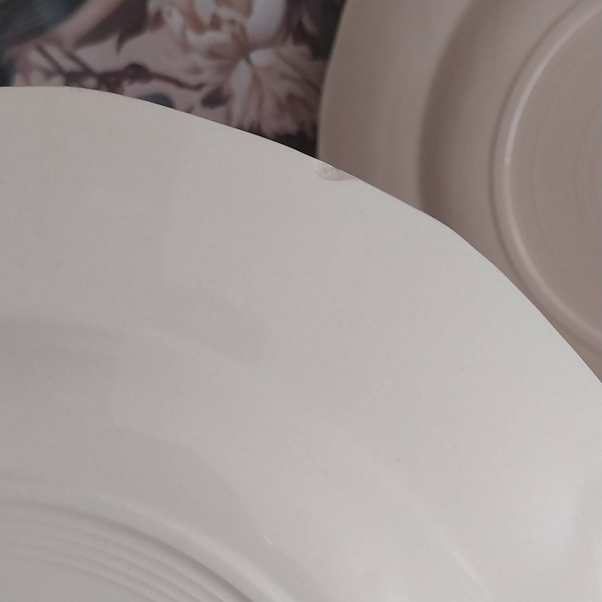 Old flat plates Digoin Sarreguemines