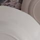 Old flat plates Digoin Sarreguemines