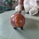 Mexican horse Terracotta