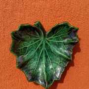 Retro leaf pocket emptier