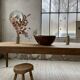 XL thuja root wooden dish