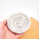 Ancient Coral Fungia or Shark Cushion