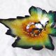 Limoges enamel trinket dish