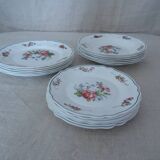 18 plates ronsard, flowers Arcopal 6 x plate hollow dessert