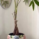 Hydrangea flowerpot