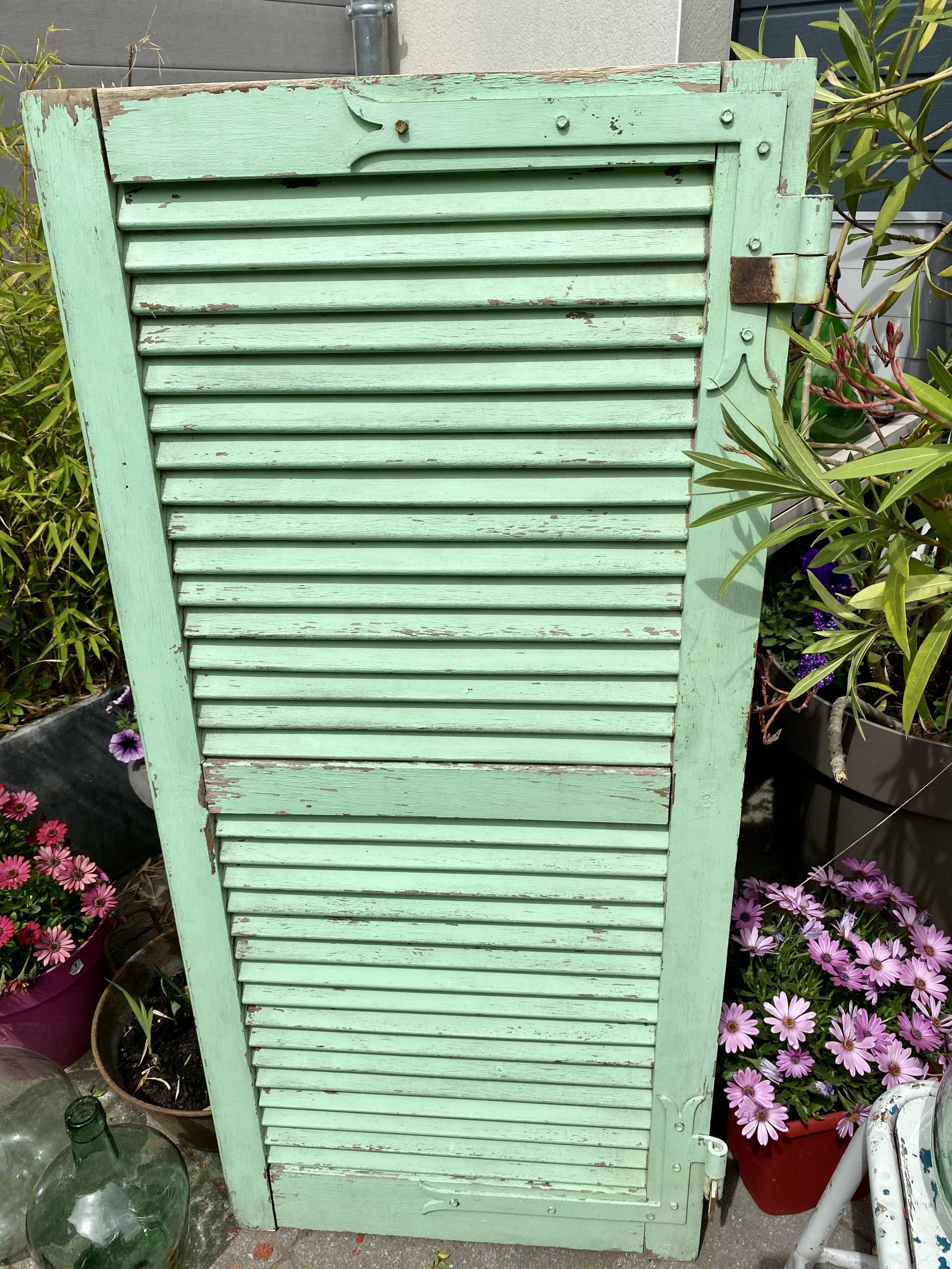 Ancient persian-coloured wood-wood mint