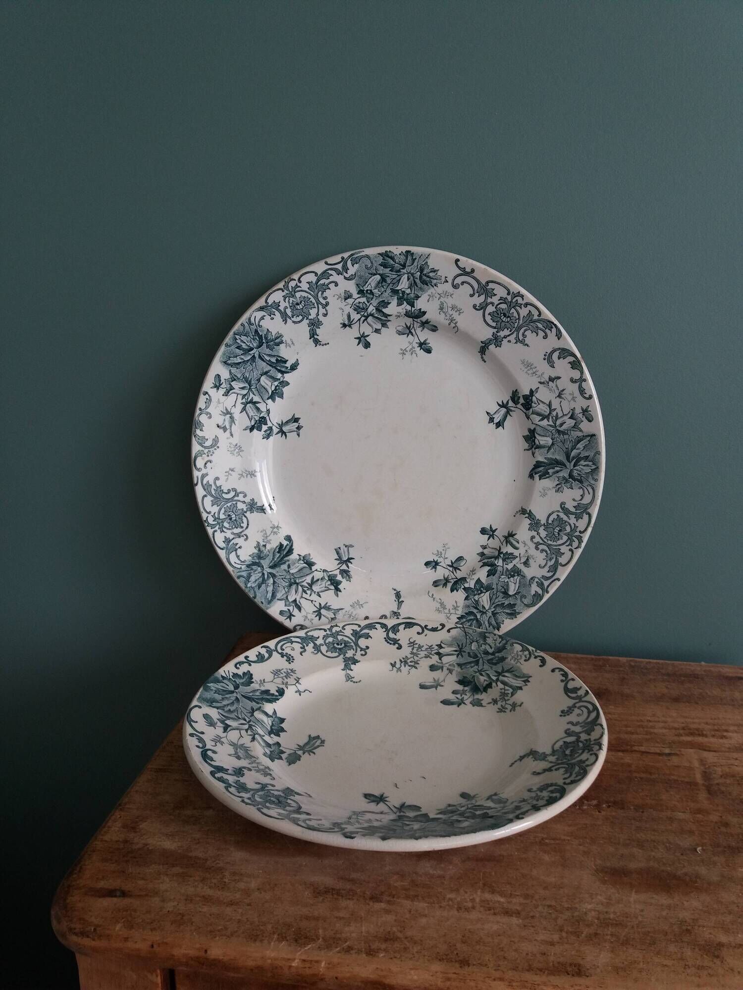Set of dishes and plates from Terre de fer Saint Amand and Hamage Campanule